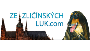 Ze Zličínských luk.com