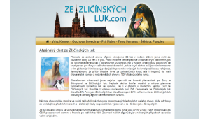 Ze Zličínských luk.com - webový projekt