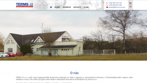 Webové stránky Terms-cz